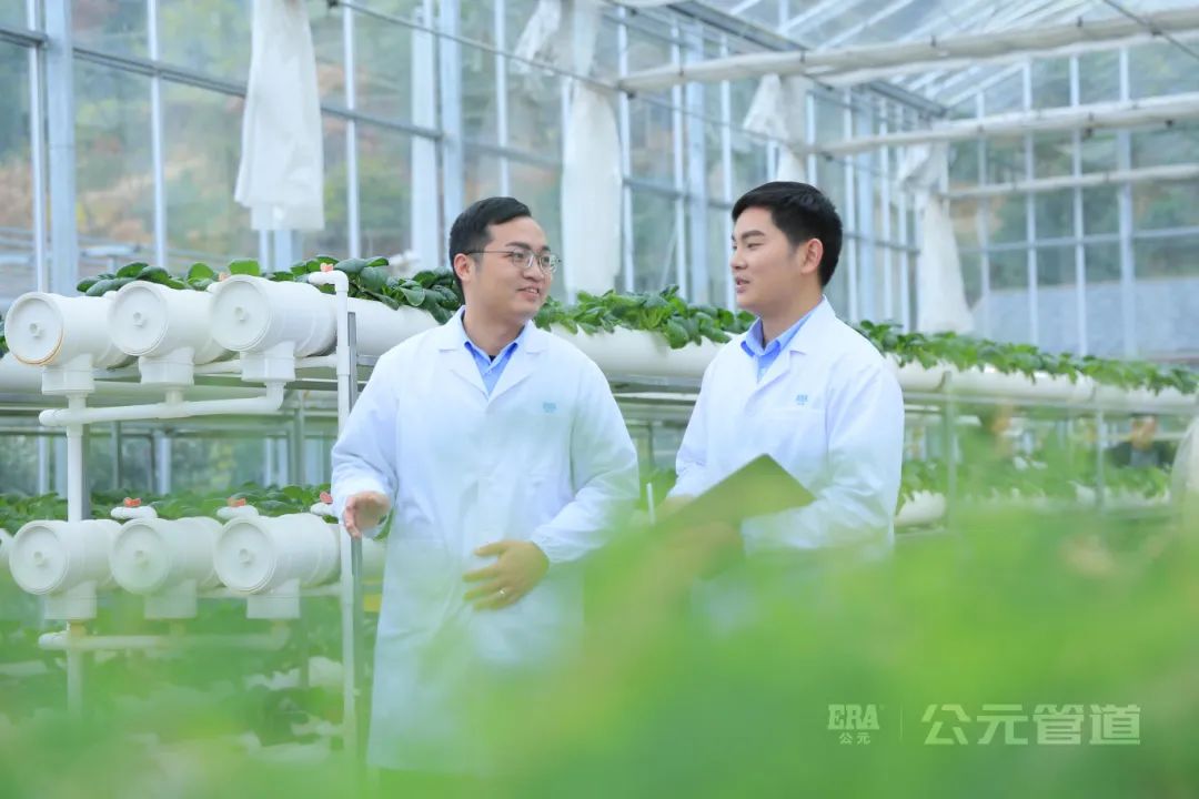 z6·人生就是博(中国区)有限公司官网